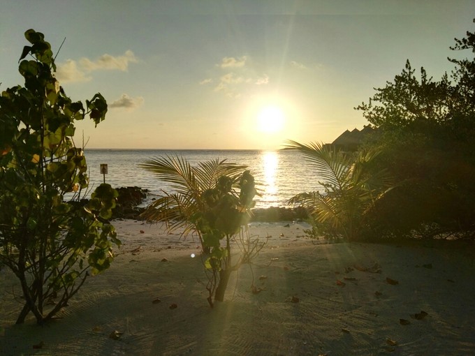 泰姬珍品岛 Taj Exotica Resort